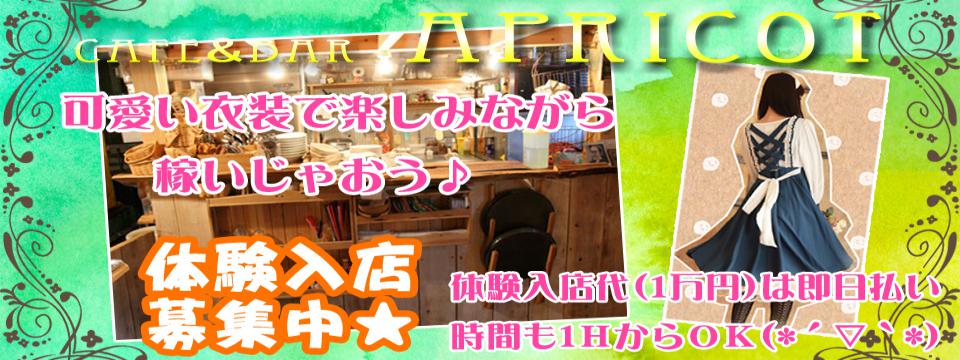 【NEW】CAFE＆BAR　APRICOT　アプリコット【OPEN】